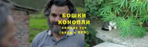 твердый Абаза
