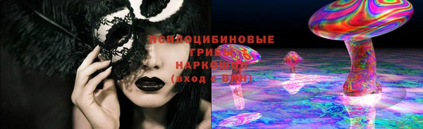 стаф Абинск