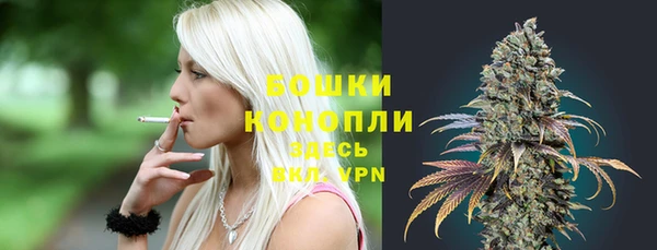 твердый Абаза