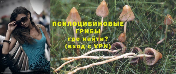 ешки Абдулино