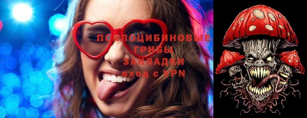 твердый Абаза