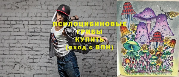 стаф Абинск
