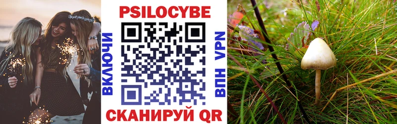 Псилоцибиновые грибы MAGIC MUSHROOMS  hydra сайт  Петушки 