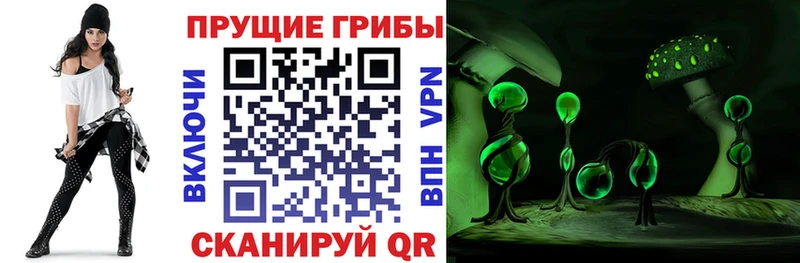 Галлюциногенные грибы Psilocybine cubensis Петушки